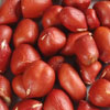 Peanut - Red